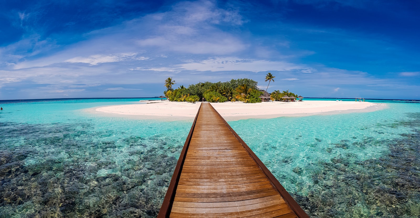 The beach below the house